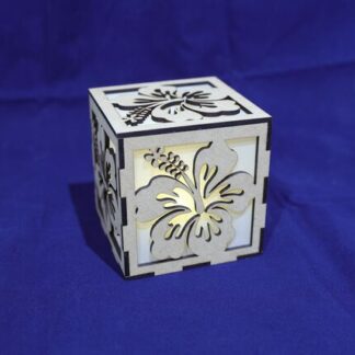 Photocubes